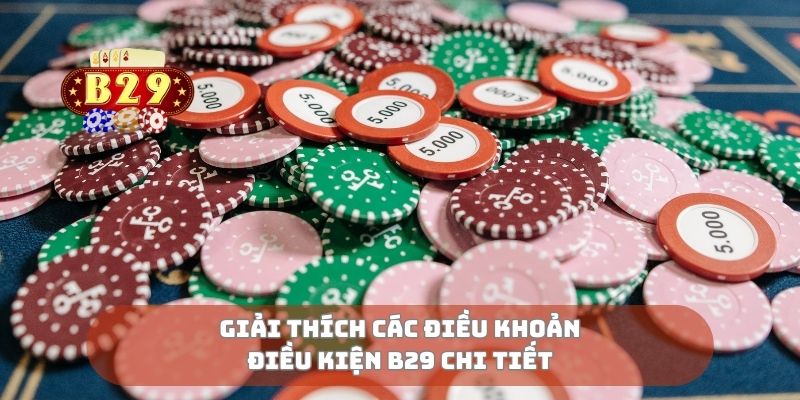Giải thích các điều khoản điều kiện B29 chi tiết