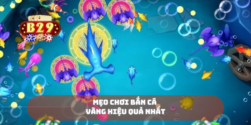 Mẹo chơi bắn cá vàng hiệu quả nhất